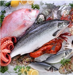 Vari tipi di pesce